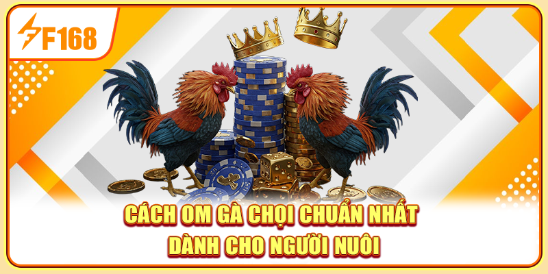 Hướng dẫn người mới cách om gà chọi hiệu quả