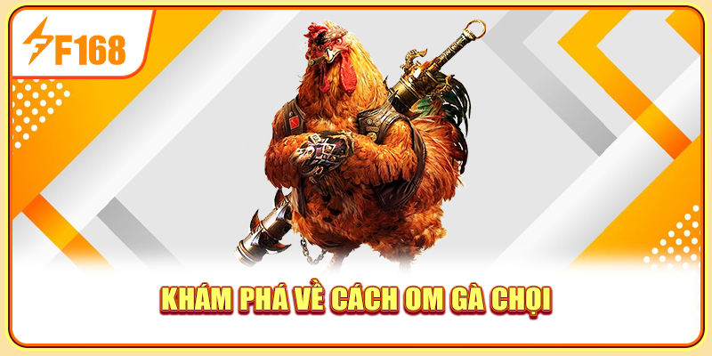 Khám phá về cách om gà chọi