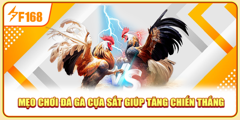 Mẹo chơi đá gà cựa sắt giúp tăng chiến thắng