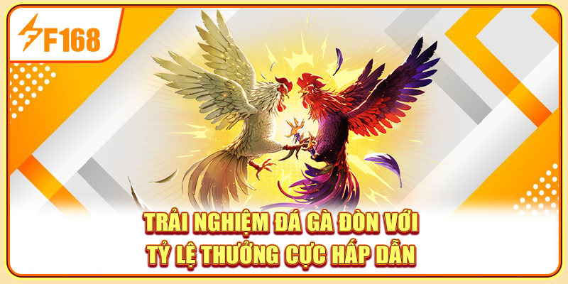 Trải nghiệm đá gà đòn với tỷ lệ thưởng cực hấp dẫn 