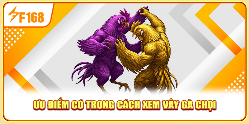 Ưu điểm có trong cách xem vảy gà chọi