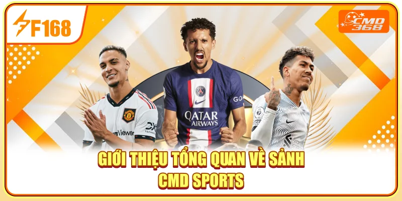 Giới thiệu tổng quan về sảnh CMD Sports